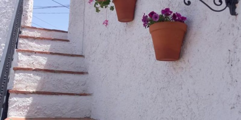 Cueva de Manuela 310994437