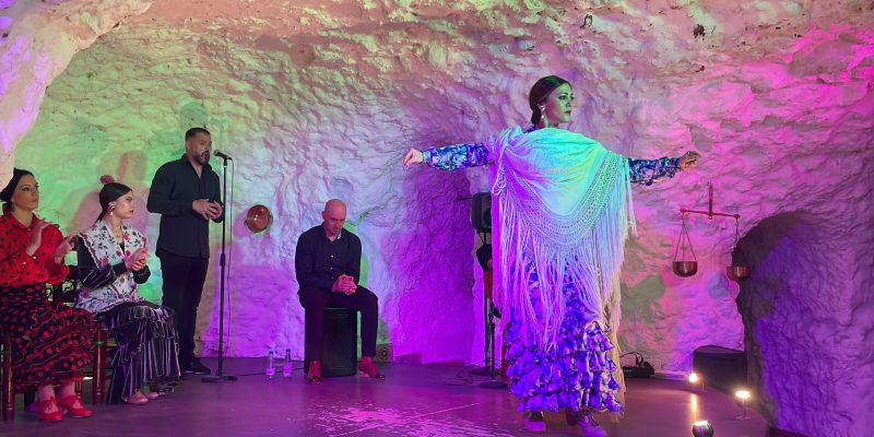 Experiencia flamenco 3