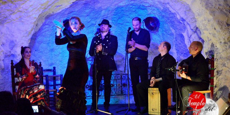 Experiencia flamenco 5