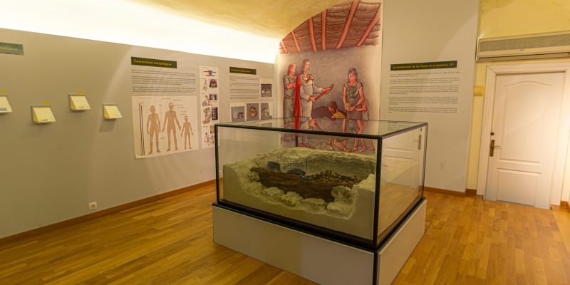 Museo Arqueológico Galera 4