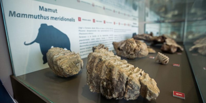 Museo Primeros Pobladores (Orce) 2