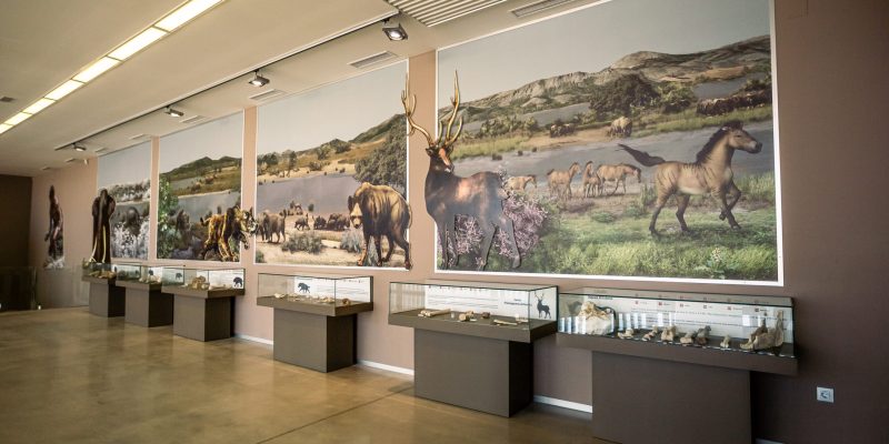 Museo Primeros Pobladores (Orce) 3