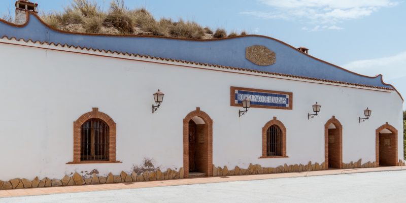 bodega pago de almares (1)