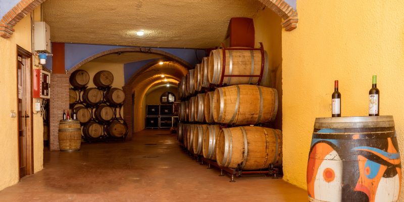 bodega pago de almares (3)