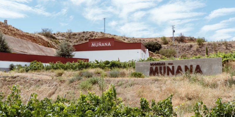 bodegas muñana__ALM8827