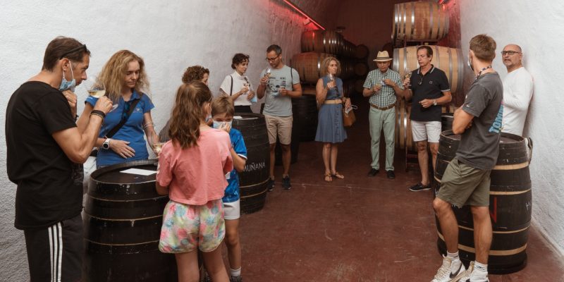 bodegas muñana__ALM8844