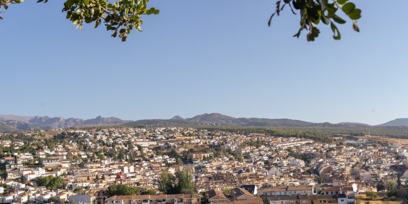 bodegs pilongo (4)