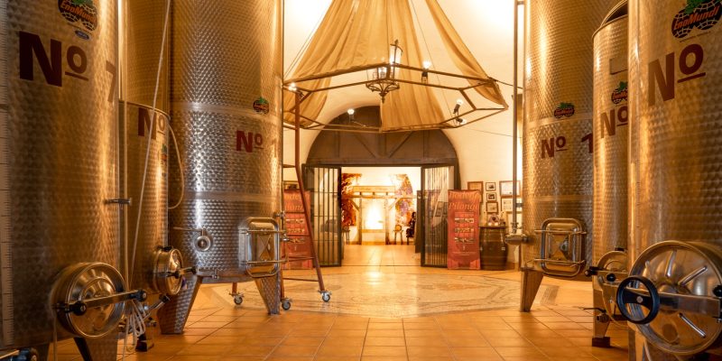 bodegs pilongo (6)