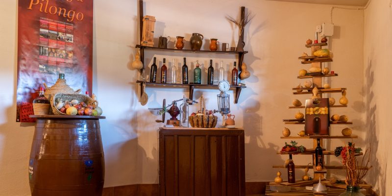 bodegs pilongo (9)
