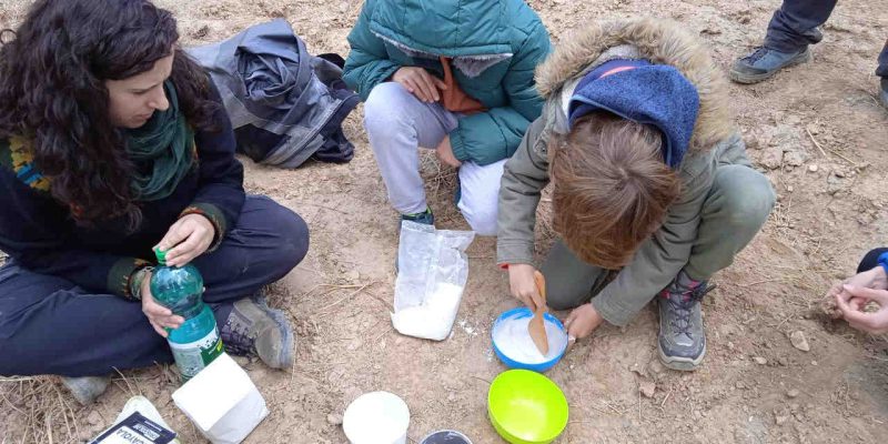 Experimenta y aprende en la naturaleza con Darwin Eventur