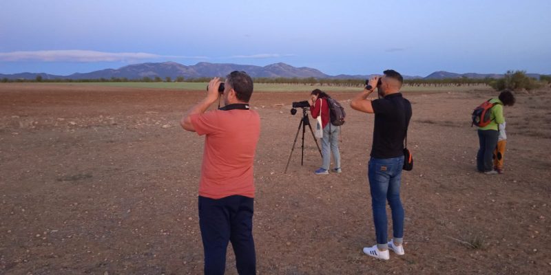 Darwin Eventur hacemos observación en grupo en la naturaleza