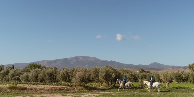 dehesa (12)