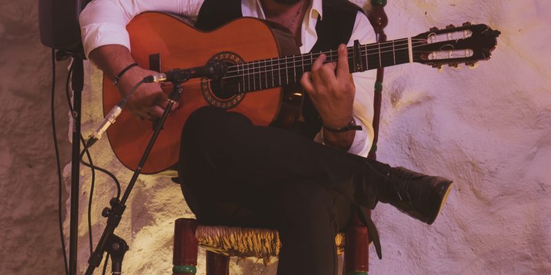 el templo flamenco (42)
