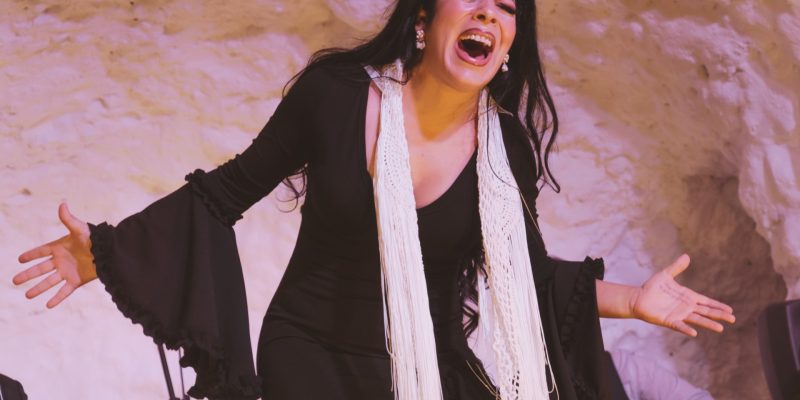 el templo flamenco (48)