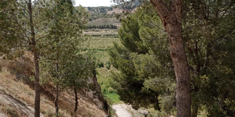 manantial-zujar