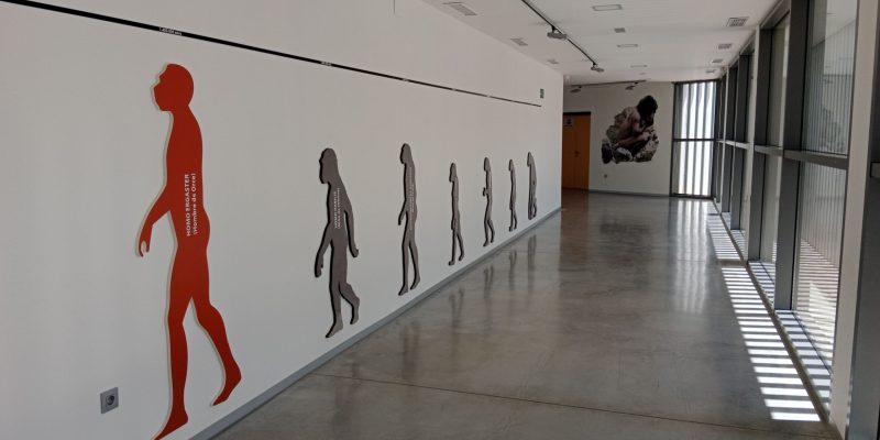 museo-primeros-pobladores-orce-evolucion