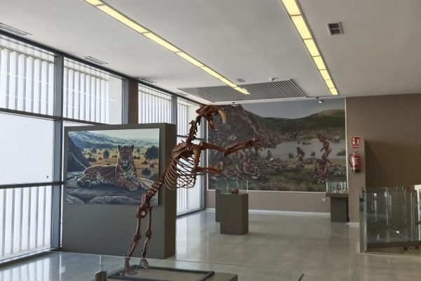museo-primeros-pobladores-orce-sala