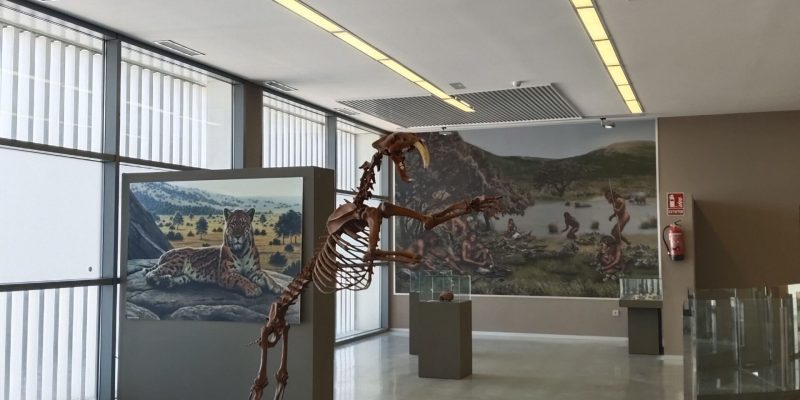 museo-primeros-pobladores-orce-sala