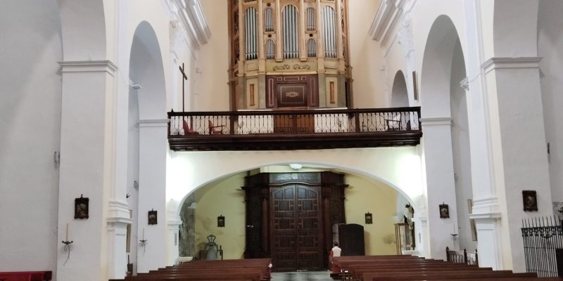 parroquia-santa-maria-organo