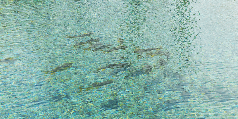 piscina-fuencaliente-orce-2