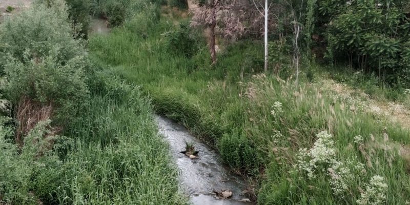 puente-hierro-galera