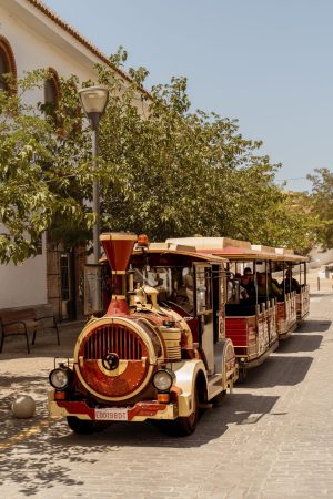 rey zagal visita guadix_tren turistico (1)