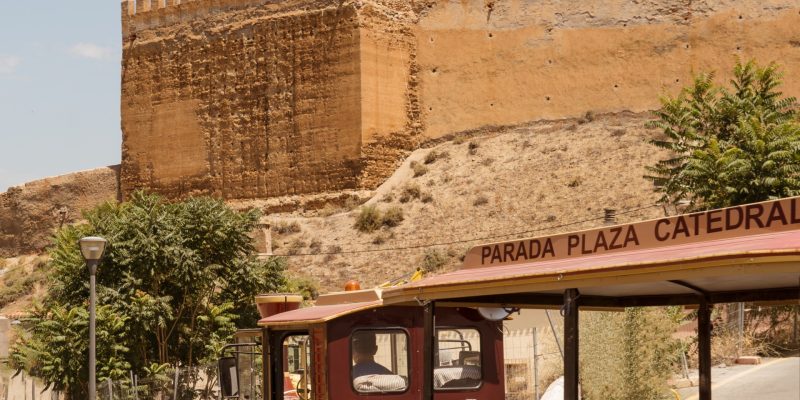 rey zagal visita guadix_tren turistico (3)