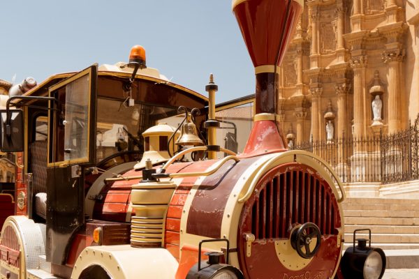 rey zagal visita guadix_tren turistico (7)